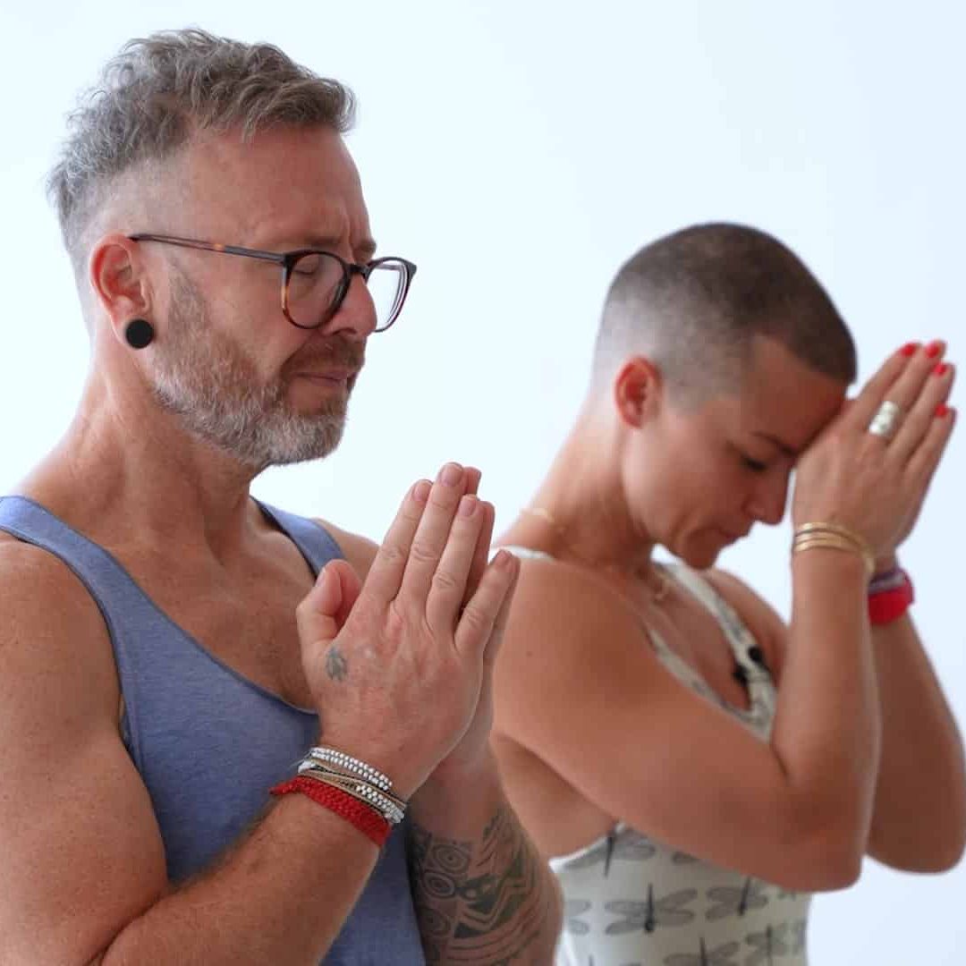 Join David Robson & Jelena Vesić for this special 2-hour class at the end of the year in Toronto, Canada.

David and Jelena will start this session with a 30-minute guided pranayama and Meditation. Then they will guide you through the traditional Sanskrit vinyasa count and include lots of useful, detailed instructions.


